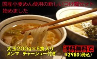 送料無料 国産小麦つけ麺セット