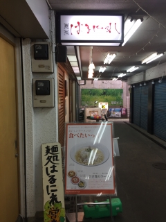 はるにれ②